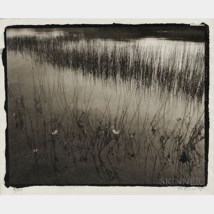 Koichiro Kurita (Japanese/American, b. 1943) Feathers and Water Grasses, Acadia, Maine