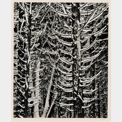 Ansel Adams (American, 1902-1984) Forest Detail, Winter
