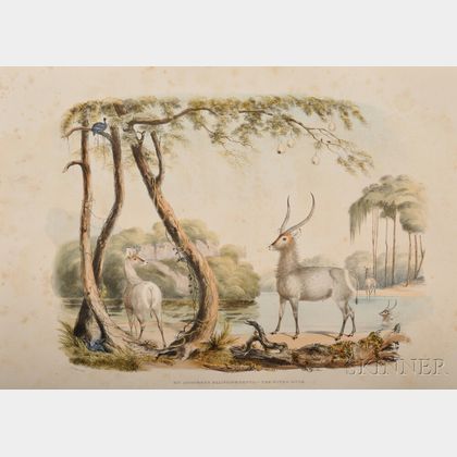 Harris, William Cornwallis, Sr., Portraits of the Game and Wild Animals of Southern Africa, Delineated from Life in their Native Haunts
