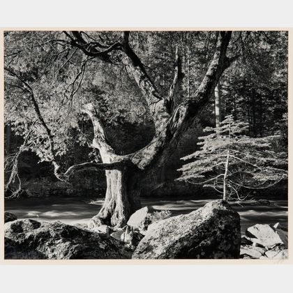 Ansel Adams (American, 1902-1984) Morning, Merced River Canyon