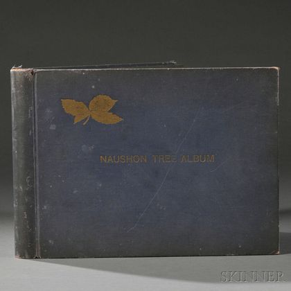 Orne, Harold (fl. circa 1933) Naushon Tree Album