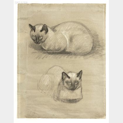 Theophile Alexandre Steinlen (French, 1859-1923) Study of a Cat