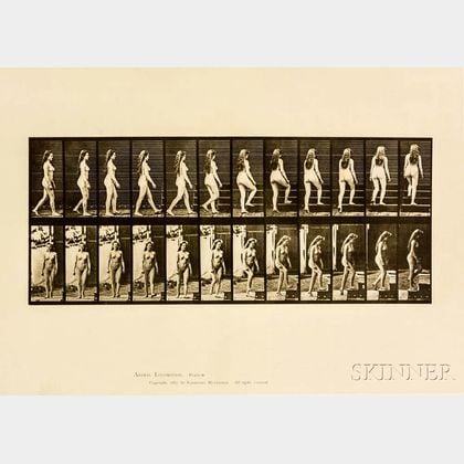 Eadweard Muybridge (British, 1830-1904) Two Plates from Animal Locomotion: Plate 47 (Nude Woman Walking and Turning... 