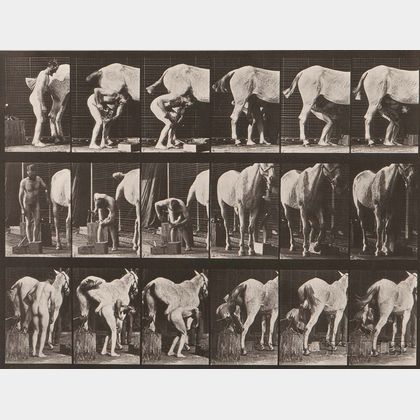 Eadweard Muybridge (British, 1830-1904) Plate 509 (Man Shoeing a Horse)