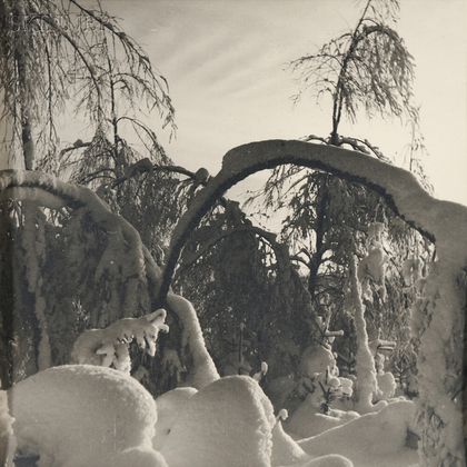 Josef Sudek (Czech, 1896-1976) Trees with Snow.