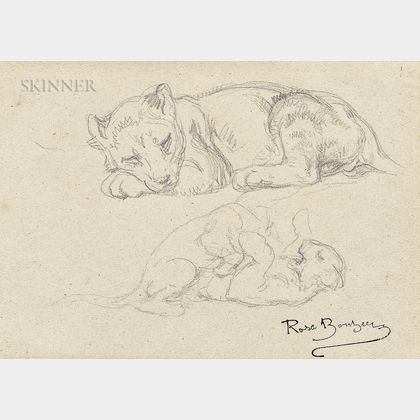 Rosa Bonheur (French, 1822-1899) Studies of the Artist's Lion Cub, Fathma