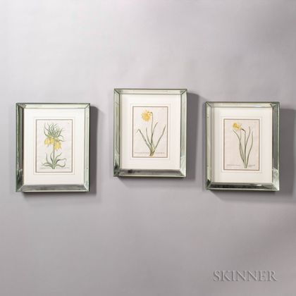 Suite of Six Botanical Prints