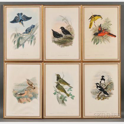 Gould, John (1804-1881) Six Framed Ornithological Prints.