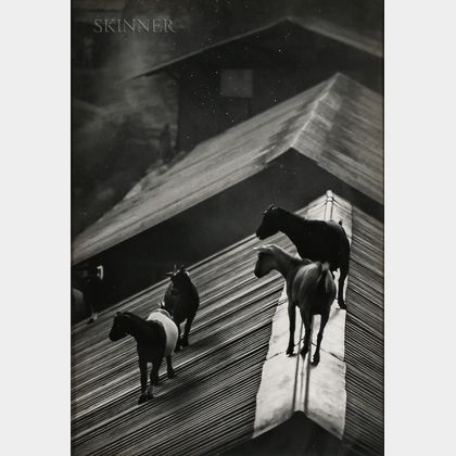 W. Eugene Smith (American, 1918-1978) Untitled (Goats on a Roof)