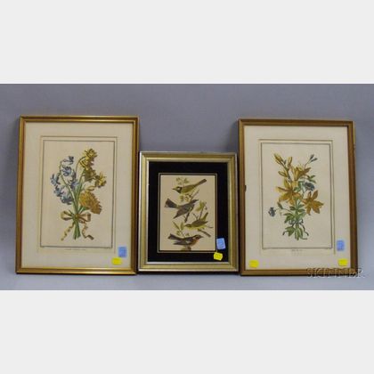Two Small Framed Botanical Prints and a Framed Ornithological Print