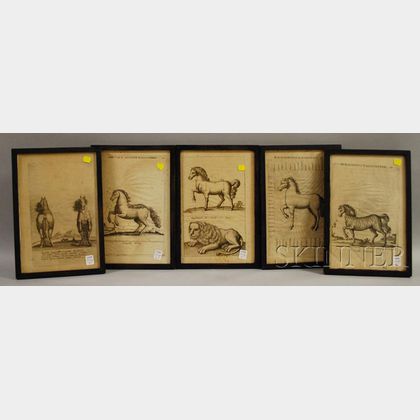 Set of Five Framed Giuseppe D'Alessandro Printed Book/Folio Plates Depicting Studies of Horses and a Lion