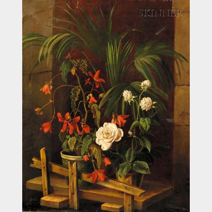 Continental School, 19th/20th Century Still Life with Potted Plants