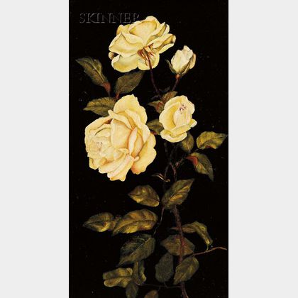 Anglo-American, 19th Century White Roses