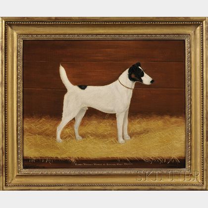 Anglo/American School, Early 20th Century Portrait of the Smooth Fox Terrier "Albany Warrant Winner of Several First Prizes."