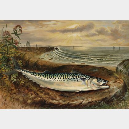 Nine Chromolithographs after Samuel A. Kilbourne (American, 1836-1881) from Game Fishes of the United States 