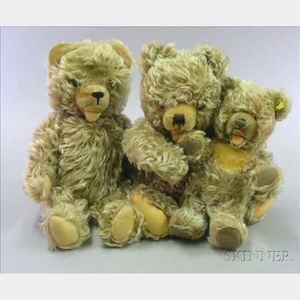 Three Steiff Zotty Bears