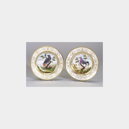 Two Paris Porcelain Ornithological Plates