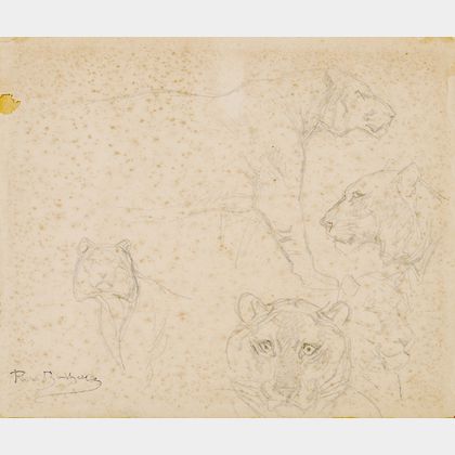 Rosa Bonheur (French, 1822-1899) Lion Studies