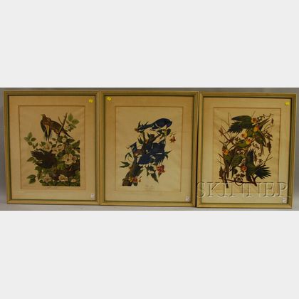 Set of Six Framed Ornithological Prints After Audubon