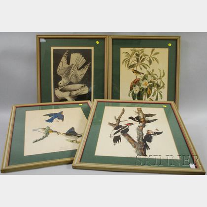 Set of Four Framed Ornithological Prints After Audubon