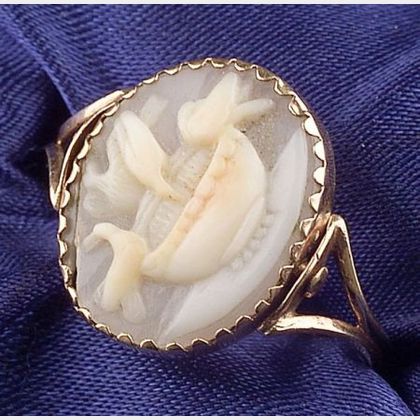 Antique 14kt Gold and Shell Cameo Ring