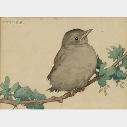 Charles Emil Heil (American, 1870-1950) Bird on a Branch
