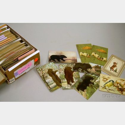 Collection of Animal-related Photographic and Lithographic Postcards