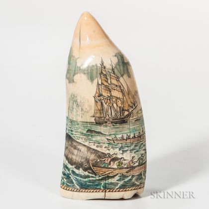 Whale's Tooth Scrimshaw-decorated by Mike Vienneau