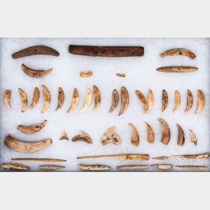 Collection of Hawaiian Shark and Dog Teeth Tools and Ornaments