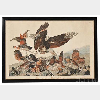 Audubon, John James (1785-1851) Virginia Partridge , Plate 76.