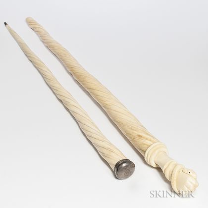 Two Narwhal Tusk Canes