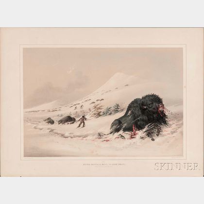 Catlin, George (1796-1872) Dying Buffalo Bull in Snow Drift.