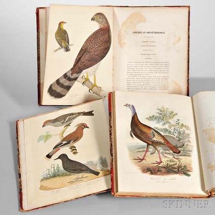 Bonaparte, Charles Lucian (1803-1857) American Ornithology; or the Natural History of the Birds Inhabiting the United States, Not Given