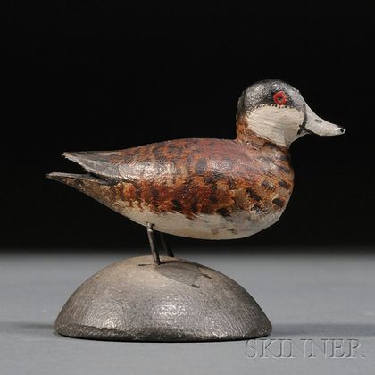 Miniature Ruddy Duck