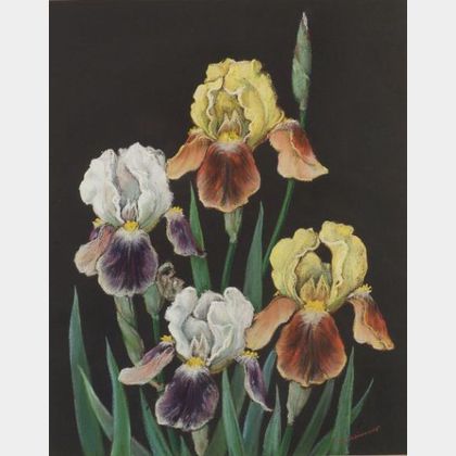 Leo John Meissner (American, 1895-1977) Irises