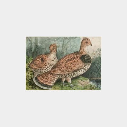 Currier and Ives, publishers (American, 1857-1907) Ruffed Grouse