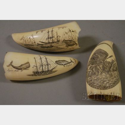 Three Small Scrimshaw Decorated Whale's Teeth