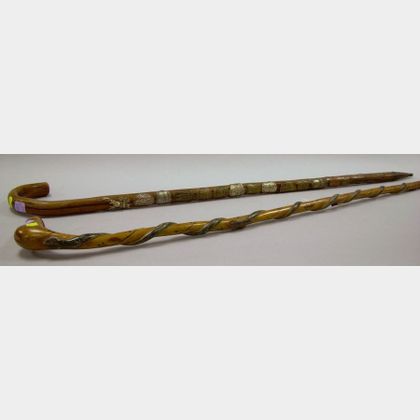 Folk Art Carved and Painted Snake Decorated Root Cane and a German Metal Cartouche Mounted Wooden Cane. 