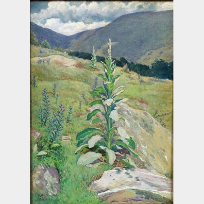 Harold Broadfield Warren (American, 1859-1934) Mountain Flowers