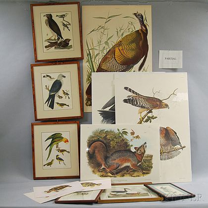 Group of Reproduction Audubon and Other Bird Prints