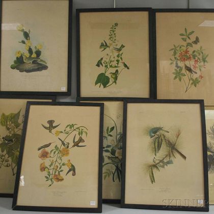 Set of Seven Framed Color Lithograph Ornithological Prints After John J. Audubon