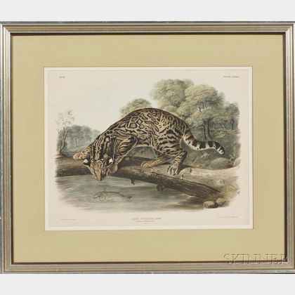 Audubon, John James (1785-1851) Felis Pardalis, Ocelot, or Leopard-Cat, Male, Plate LXXXVI.