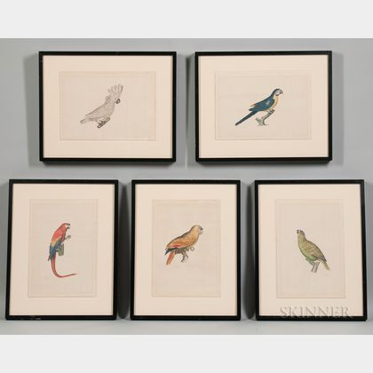 La Roche Laffitte (French, b. 1943) Five Framed Watercolors of Parrots