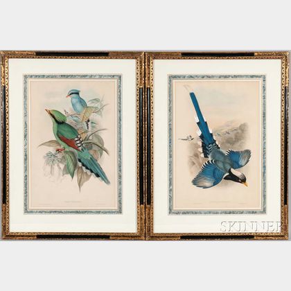 Gould, John (1804-1881) Five Framed Ornithological Prints.