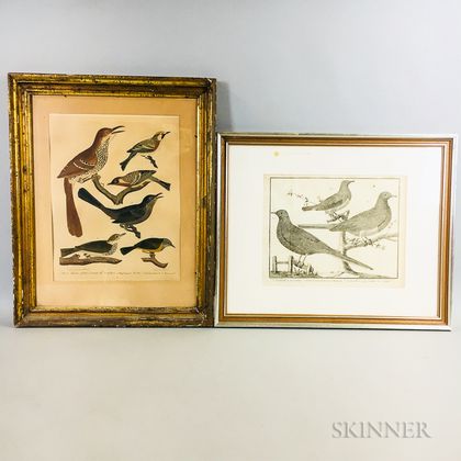 Two Framed Bird Engravings