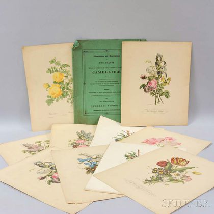 Portfolio of Assorted Botanical Prints. Estimate $100-200