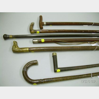 Seven Walking Sticks and Canes