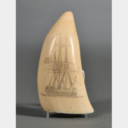 Large Scrimshaw Decorated Whale's Tooth