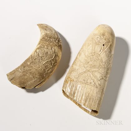 Two Scrimshaw Whale's Teeth