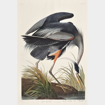 Audubon, John James (1785-1851) The Birds of America, Abbeville Press Facsimile.